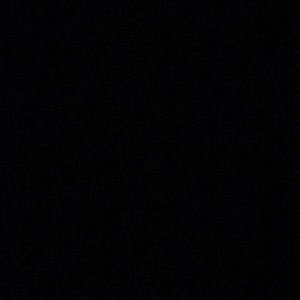 Meet your Posher, Gilda